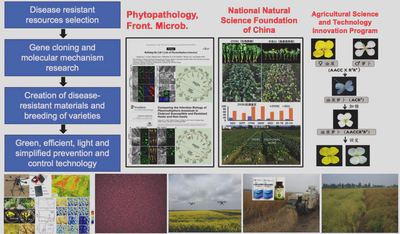 Green and Efficient Control of Brassica napus Diseases