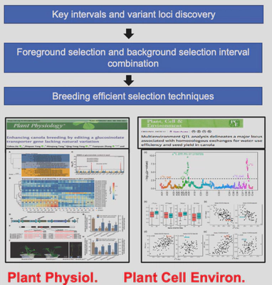 Genome Design and Breeding Technology